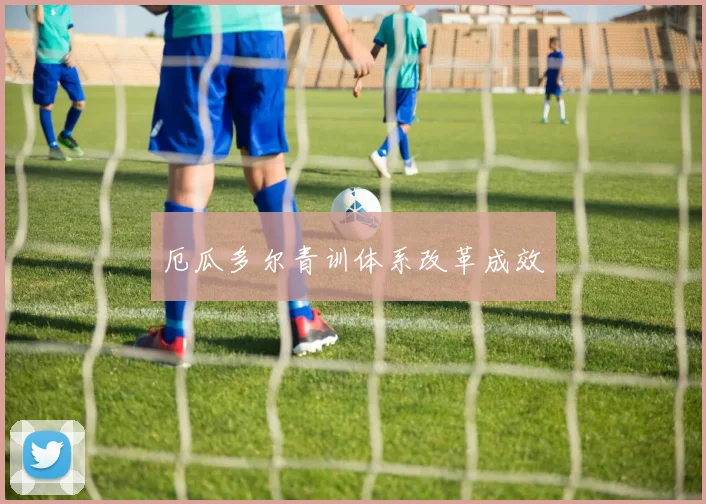 厄瓜多尔青训体系改革成效
