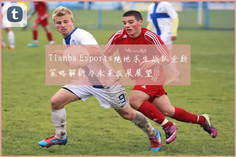 Tianba Esports绝地求生战队全新策略解析与未来发展展望