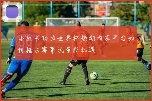 小红书助力世界杯热潮内容平台如何抢占赛事流量新机遇
