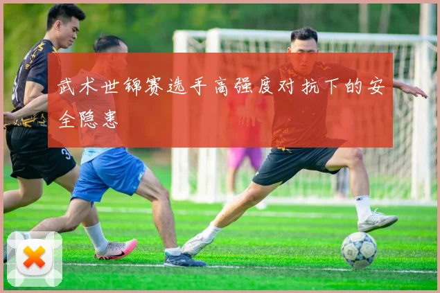 武术世锦赛选手高强度对抗下的安全隐患